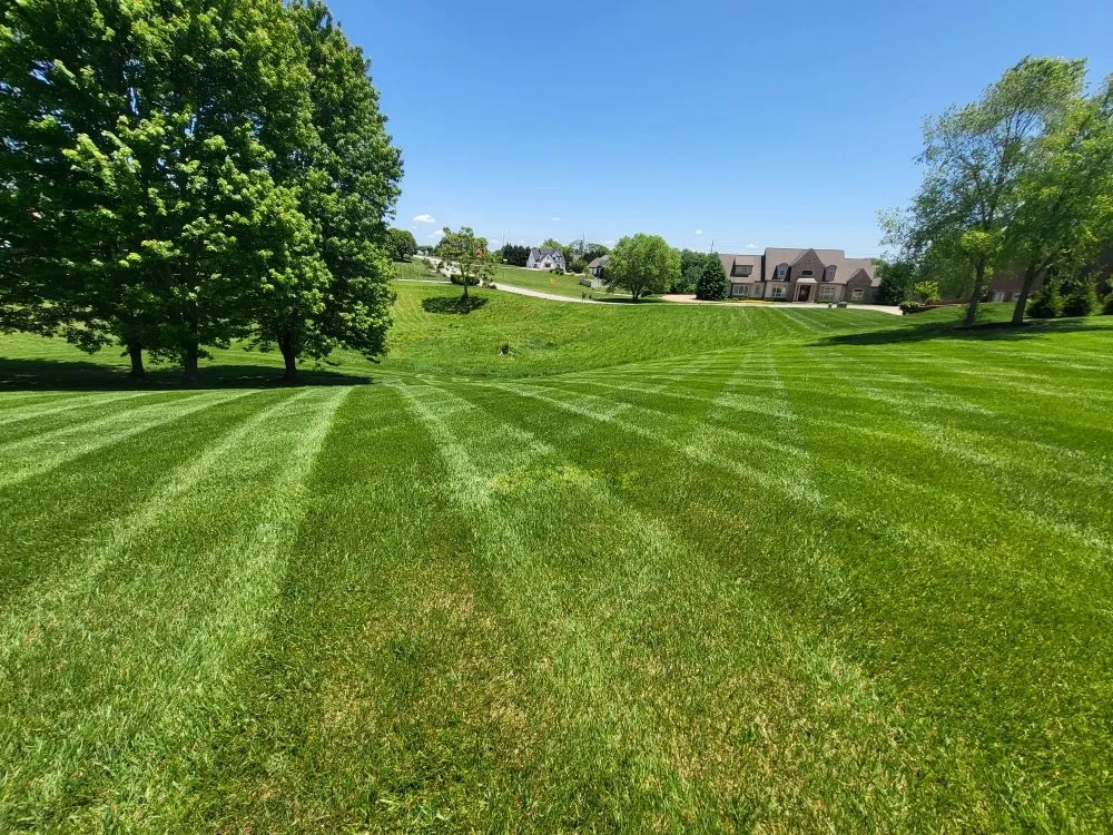 Top-rated residential landscaping experts serving Morristown, TN - Tip Top Lawns And Landscaping