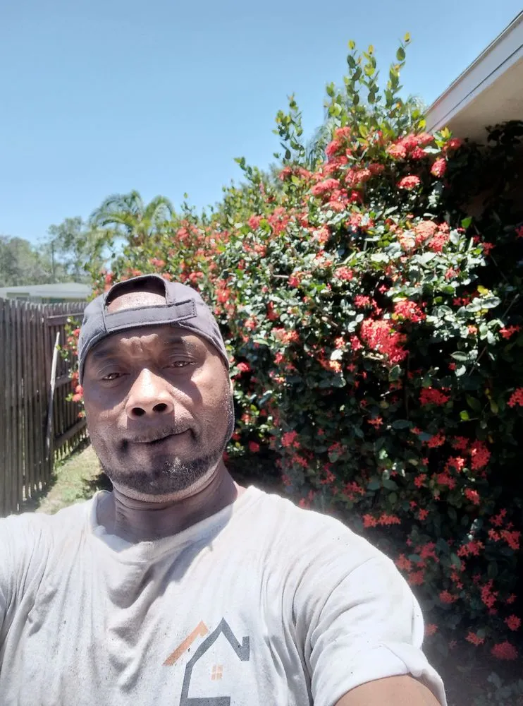 Expert garden landscaping in Largo, FL - Tip Top Property Service