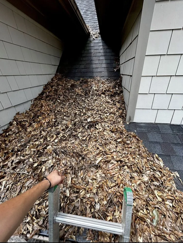 Affordable landscaping services experts serving Jefferson, GA - Tip Top Services