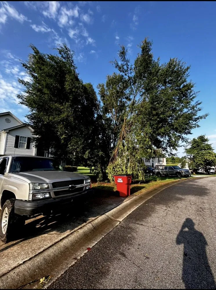 Expert landscape design in Jefferson, GA - Tip Top Services