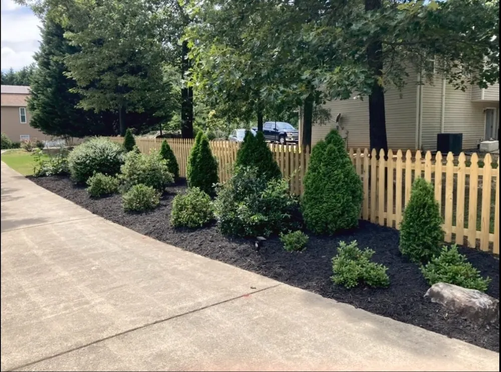 Affordable yard cleanup service near you across Jefferson, GA - Tip Top Services