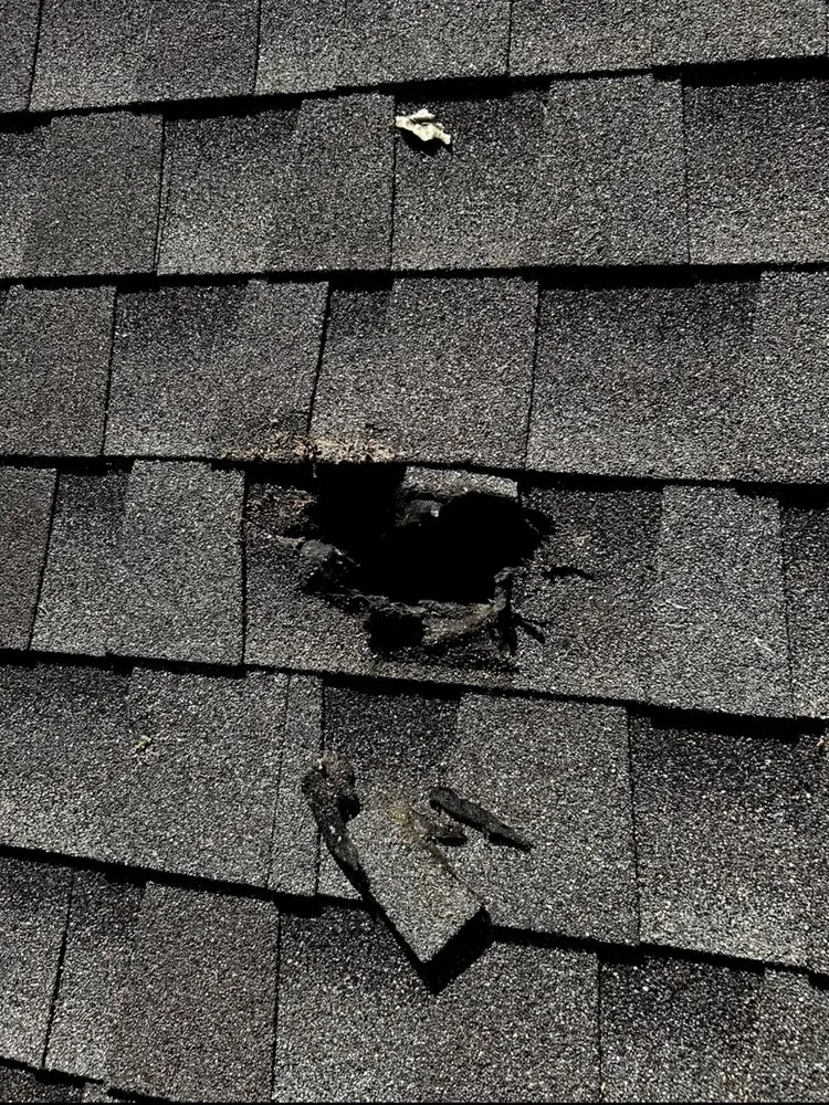 Affordable landscape design for homes across Jefferson, GA - Tip Top Services