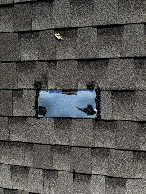 Tip Top Services Logo