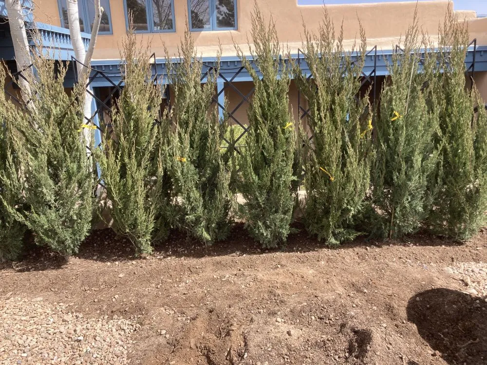 Affordable landscape installation for beautiful yards in Los Ranchos de Albuquerque, NM by Tip Top SF