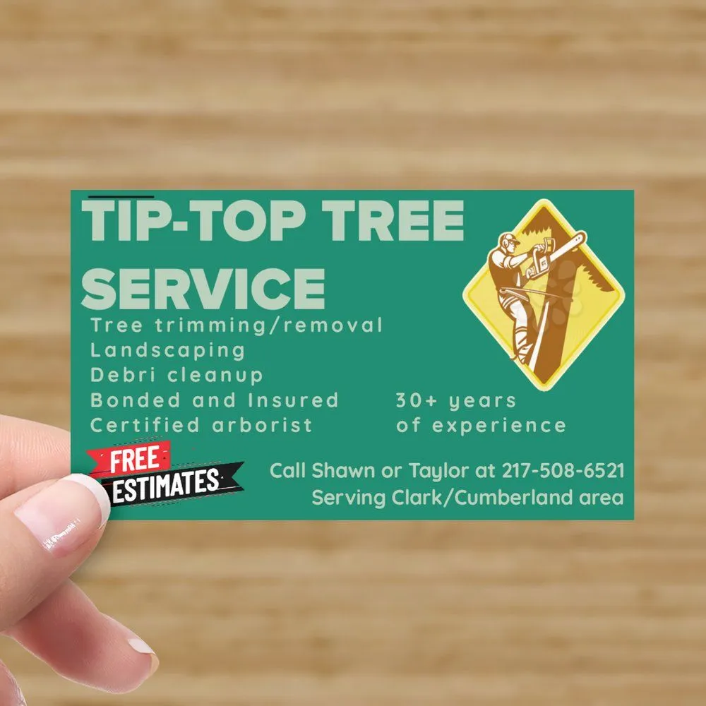 Top-rated landscaping services in Casey, IL by Tip Top Tree Service