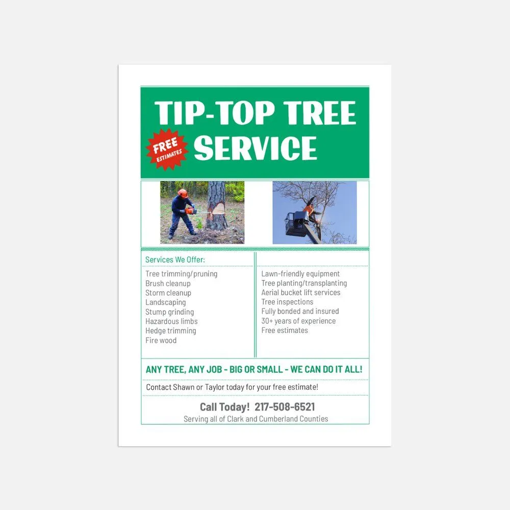 Expert yard cleanup service in Casey, IL by Tip Top Tree Service