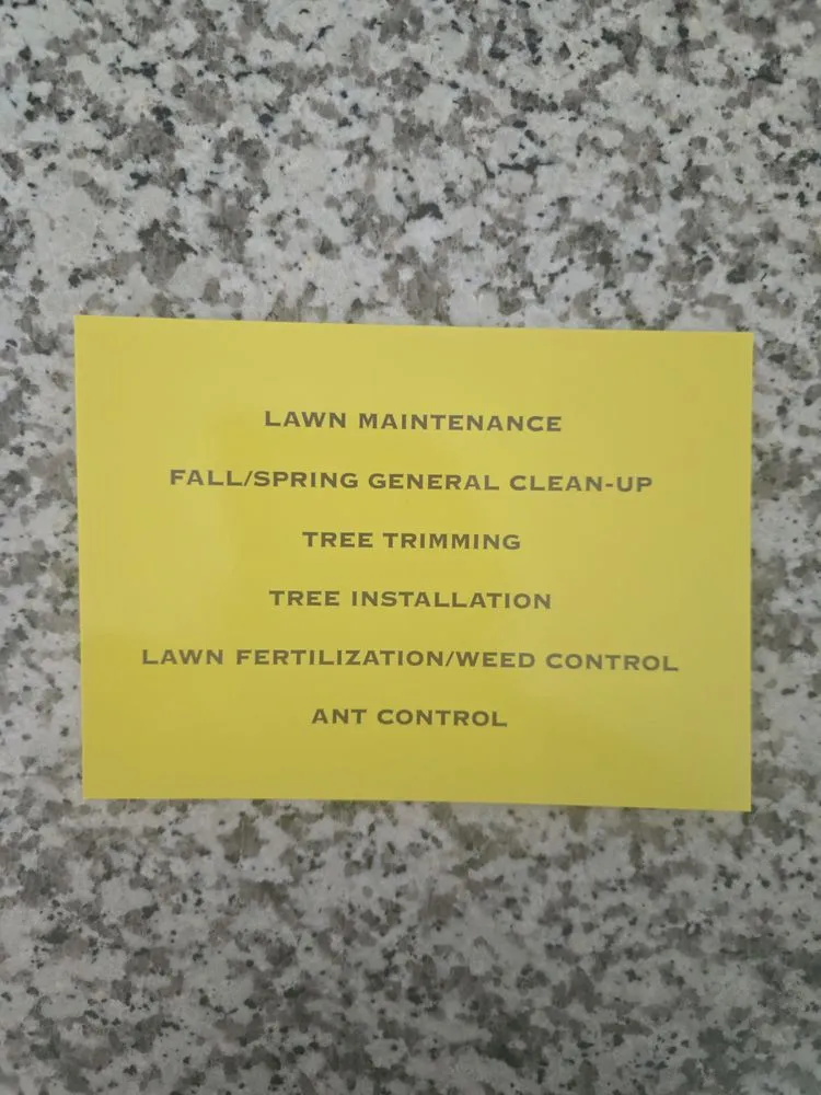 Affordable lawn care service experts serving Leander, TX - Tip Top Trees & Lawn Services
