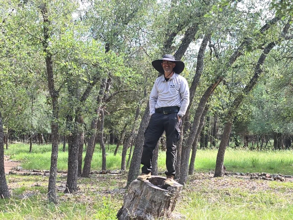 Professional landscape installation for residential properties in Leander, TX by Tip Top Trees & Lawn Services