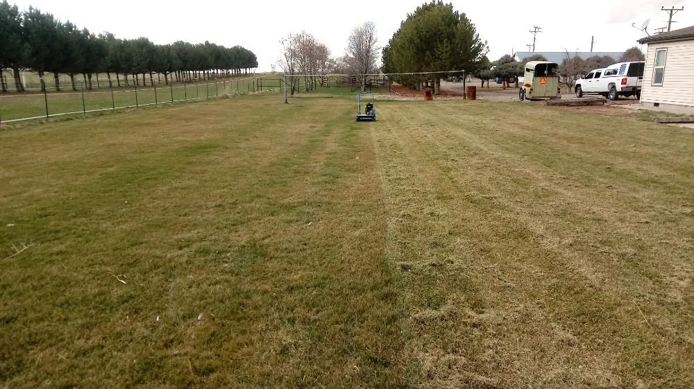 Affordable residential landscaping in Wendell, ID - Tip Top Turf