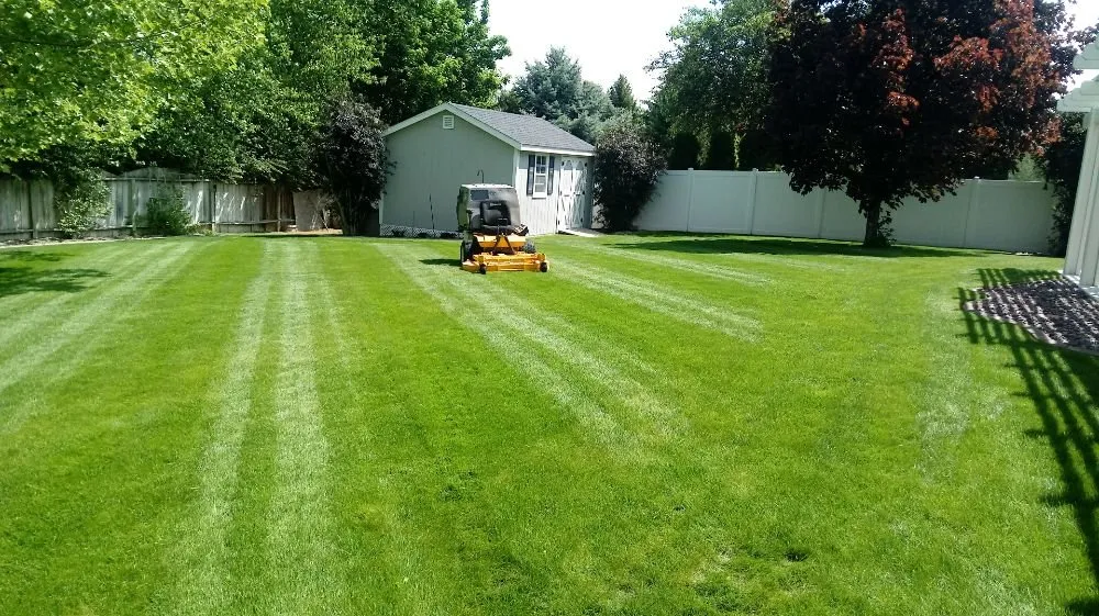 Expert yard maintenance in Wendell, ID - Tip Top Turf