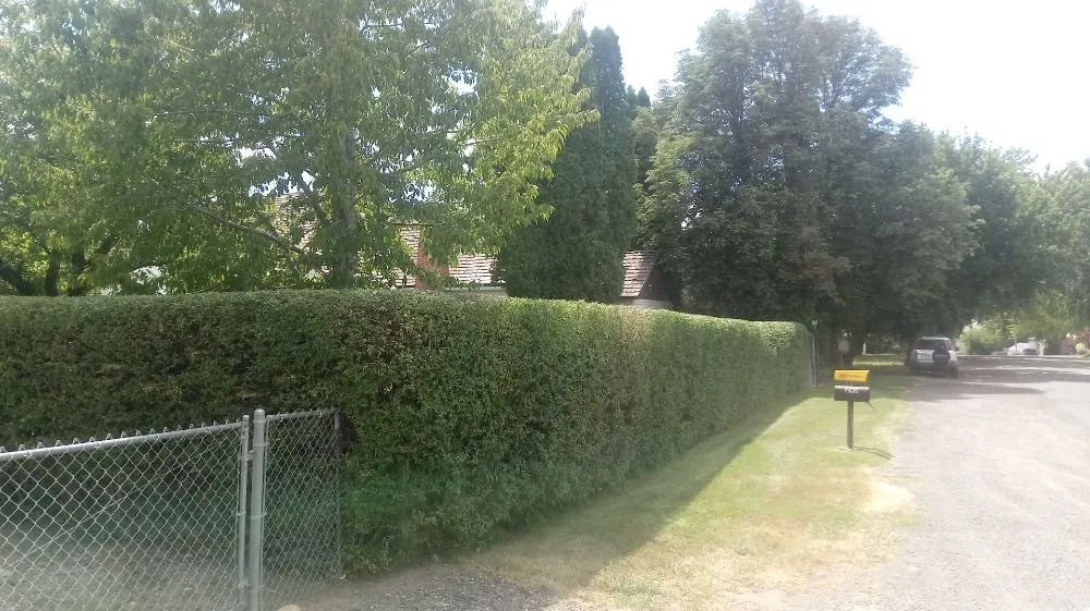 Professional outdoor landscaping for outdoor upgrades across Wendell, ID - Tip Top Turf