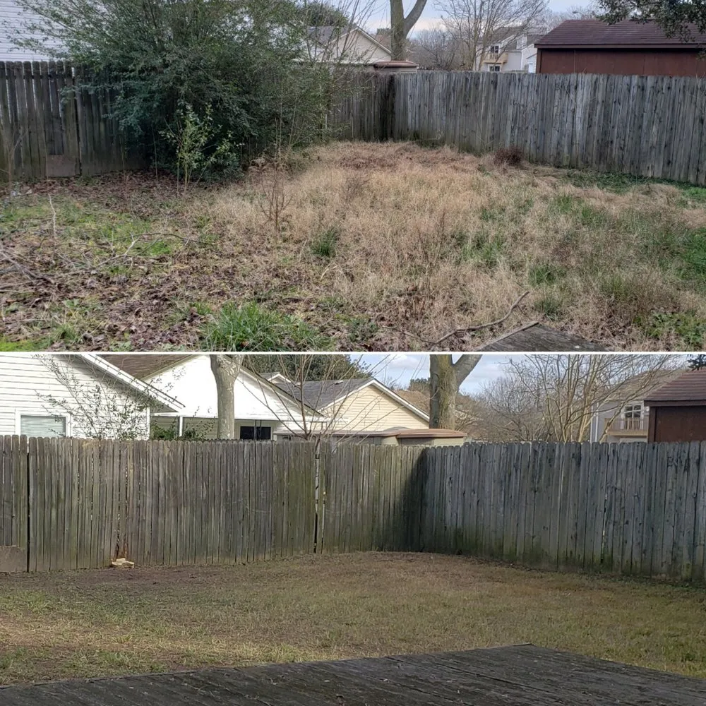 Top-rated lawn care service experts serving Virginia Beach, VA - Tip Top Yard Care & More