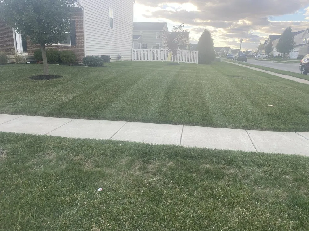 Top-rated outdoor landscaping in Phoneton, OH - Tipp Of The Blade Lawn Care