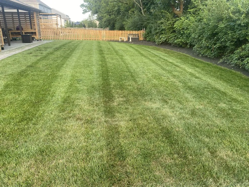 Professional yard cleanup service with custom design in Phoneton, OH by Tipp Of The Blade Lawn Care