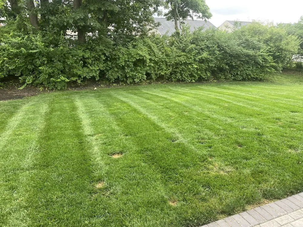 Local landscape design in Phoneton, OH by Tipp Of The Blade Lawn Care