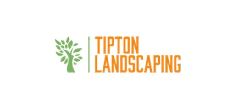 Top-rated yard cleanup service experts serving Homosassa, FL - Tipton Landscape