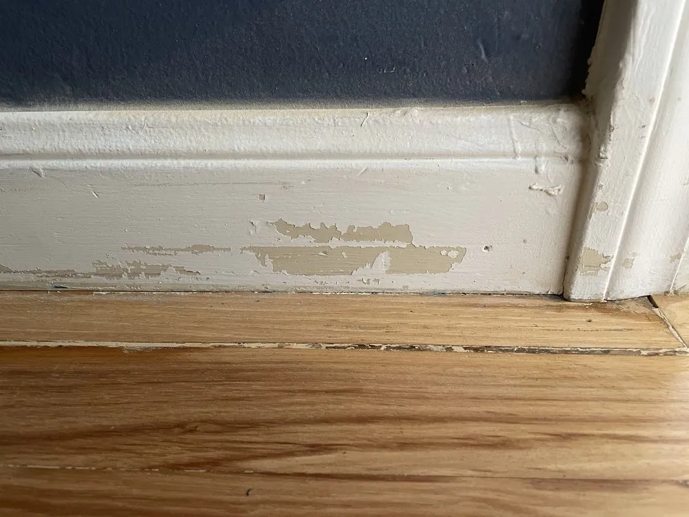 Top-rated yard cleanup service in grants pass, OR - Tipton Total Transformation