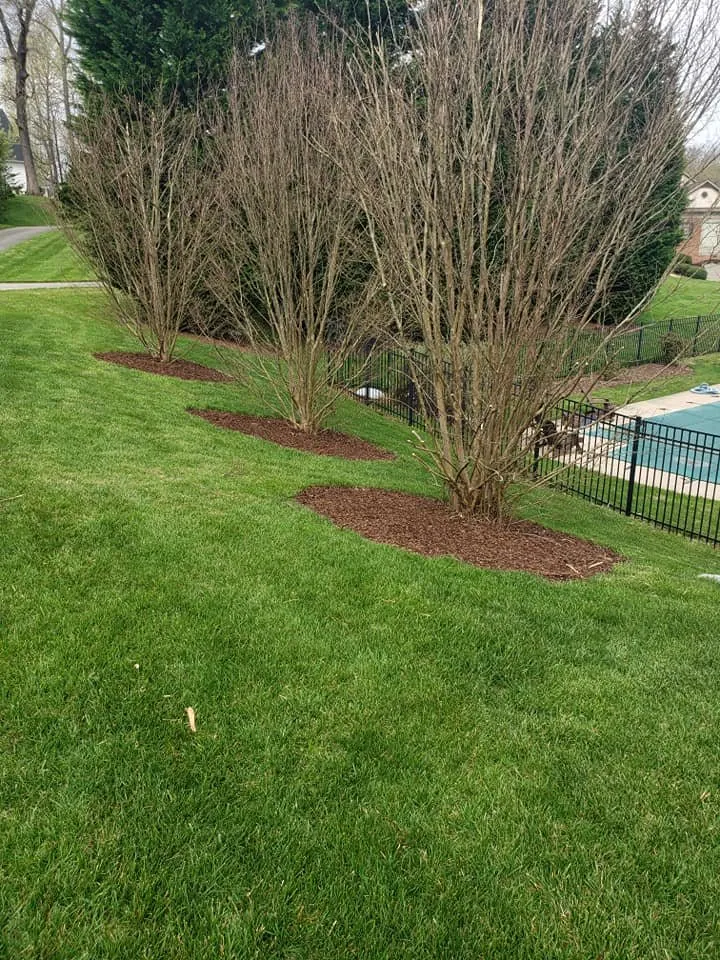 Top-rated lawn mowing service for year-round maintenance in Kingsport, TN by Tipton's Landscaping and Lawn Service