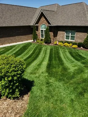 Tipton's Landscaping and Lawn Service Logo