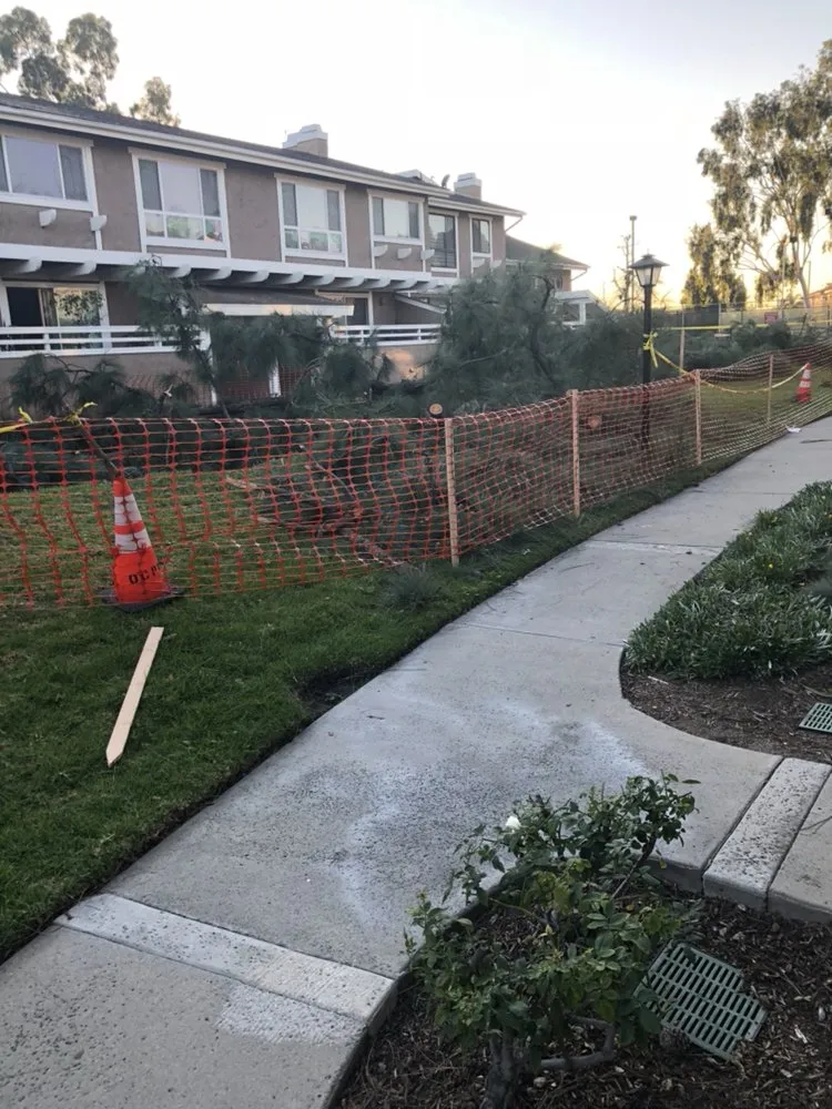 Trusted landscape installation in La Habra, CA by Tiptop Shamrock Arborist