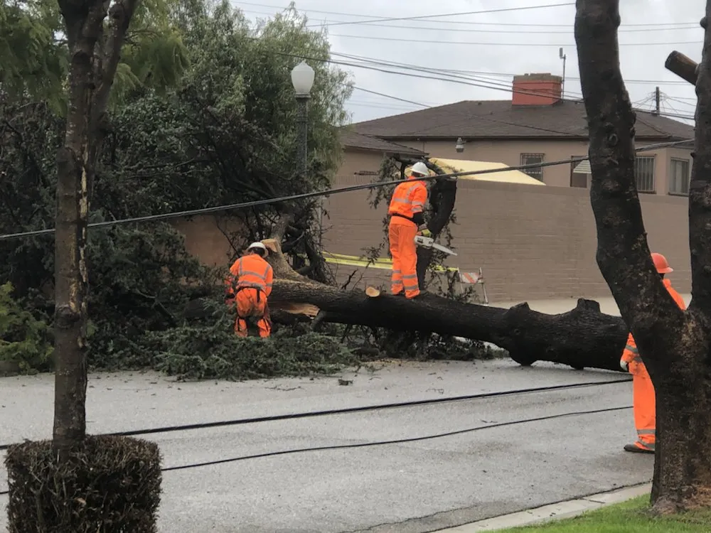 Reliable residential landscaping near you across La Habra, CA - Tiptop Shamrock Arborist