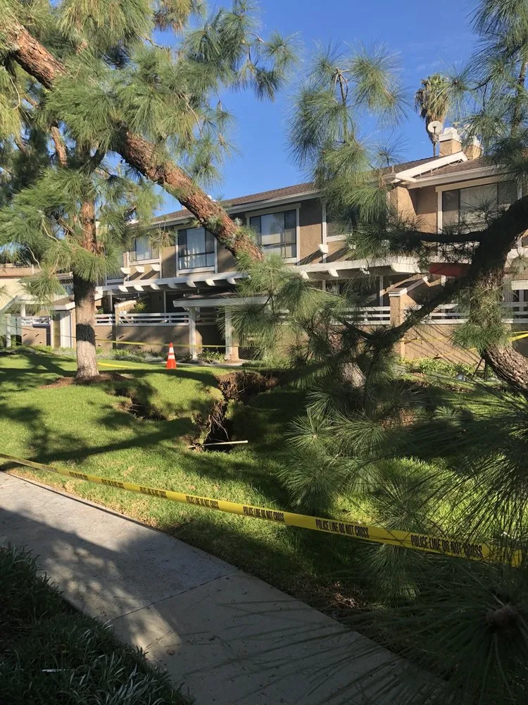 Reliable landscaping services experts serving La Habra, CA - Tiptop Shamrock Arborist