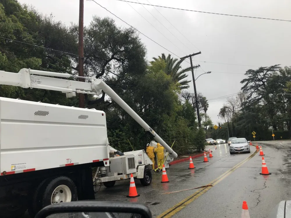 Local yard cleanup service for residential properties in La Habra, CA by Tiptop Shamrock Arborist