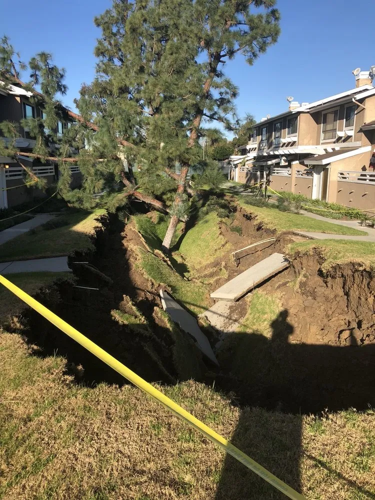 Professional lawn care service in La Habra, CA by Tiptop Shamrock Arborist