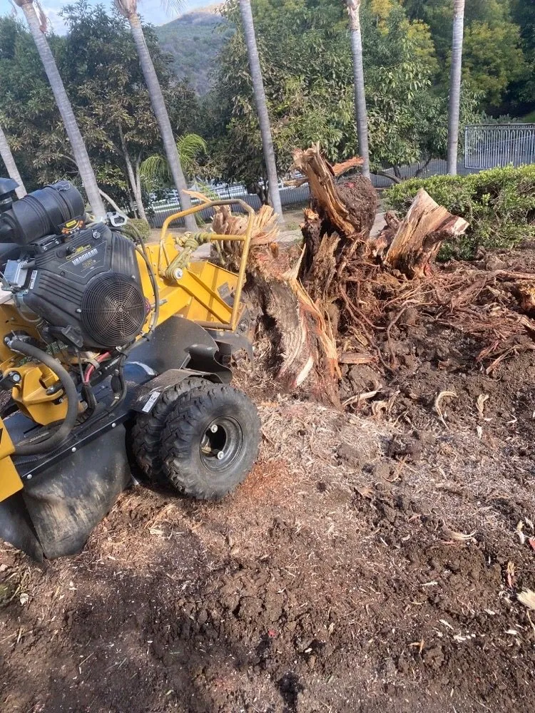 Local garden landscaping for homes in La Habra, CA by Tiptop Shamrock Arborist