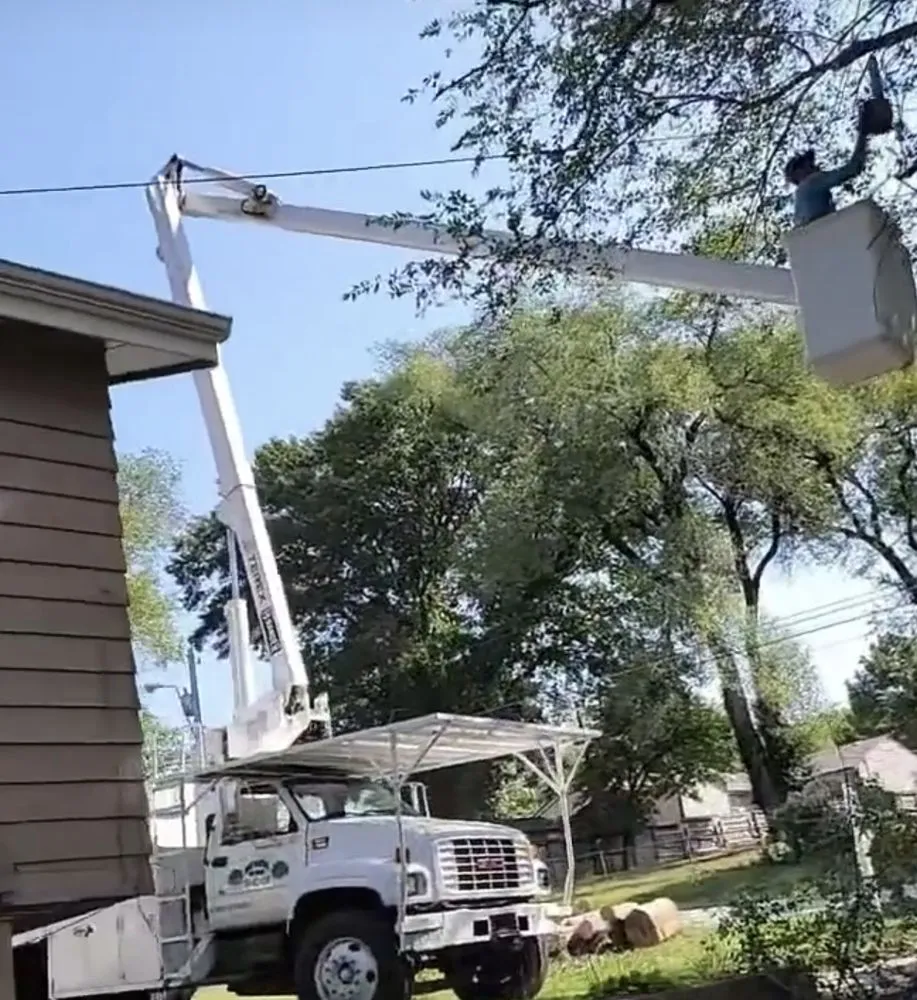 Local lawn mowing service for year-round maintenance across La Habra, CA - Tiptop Shamrock Arborist