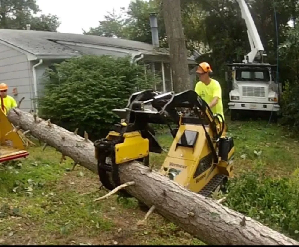 Professional lawn mowing service experts serving La Habra, CA - Tiptop Shamrock Arborist