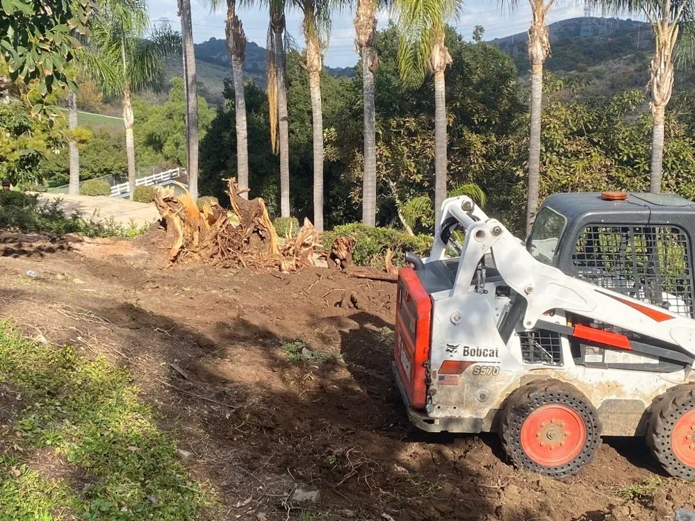 Expert residential landscaping in La Habra, CA by Tiptop Shamrock Arborist