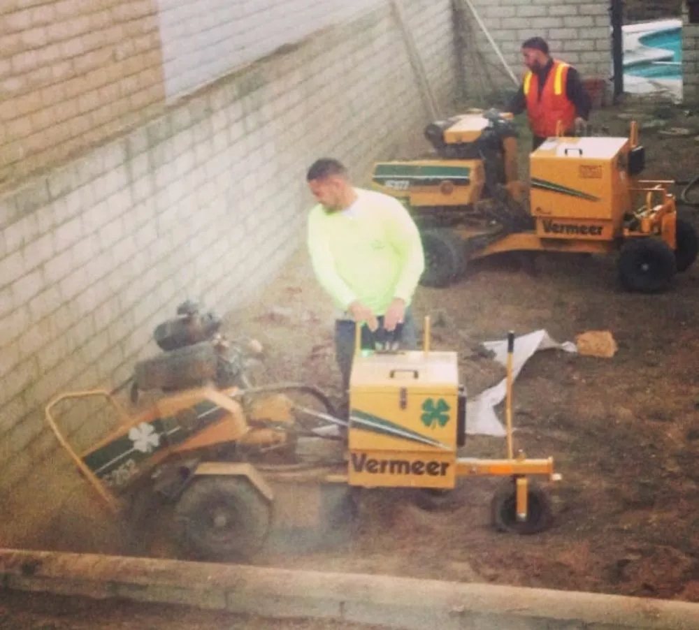 Reliable lawn care service in La Habra, CA - Tiptop Shamrock Arborist