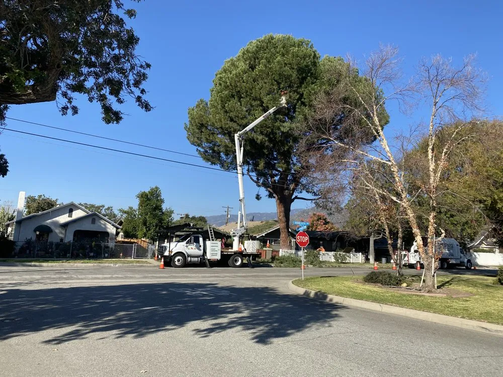Professional lawn mowing service for homes across La Habra, CA - Tiptop Shamrock Arborist