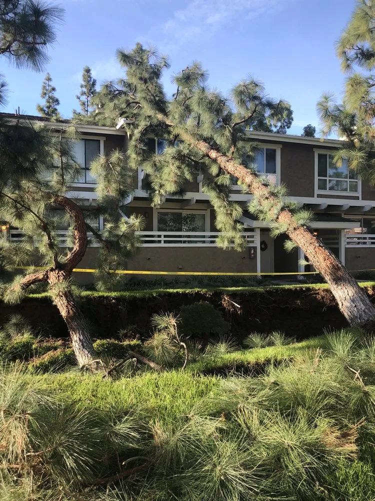 Professional landscaping services for outdoor upgrades across La Habra, CA - Tiptop Shamrock Arborist