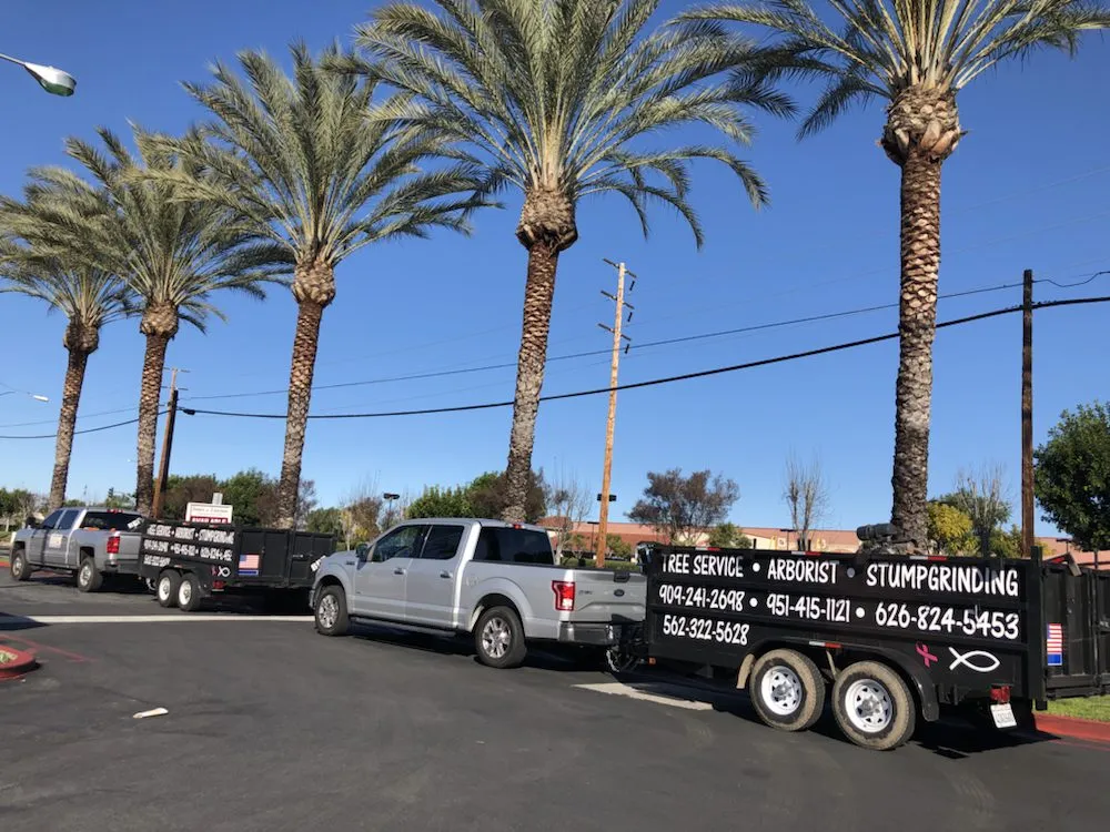 Affordable yard maintenance in La Habra, CA by Tiptop Shamrock Arborist