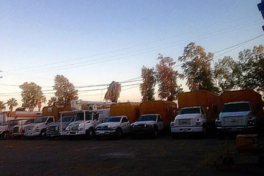 Top-rated yard maintenance in La Habra, CA - Tiptop Shamrock Arborist