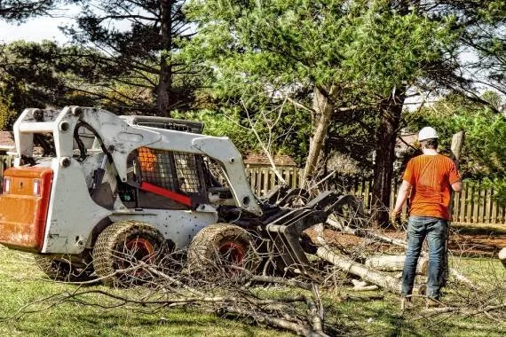 Top-rated landscape design in Lemon Grove, CA - Tipuana Enterprise