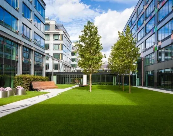 Custom yard cleanup service experts serving Lemon Grove, CA - Tipuana Enterprise