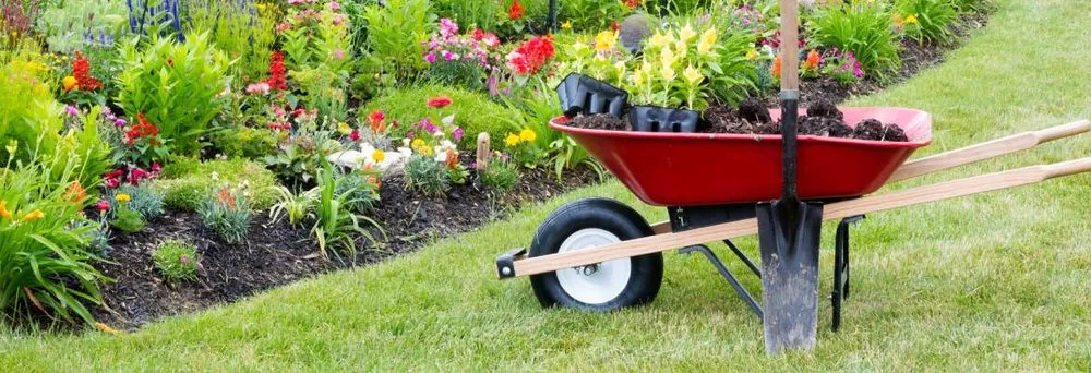 Local outdoor landscaping in Lemon Grove, CA - Tipuana Enterprise