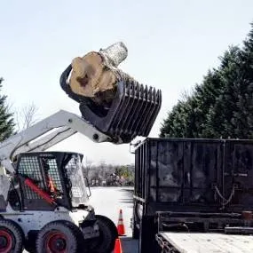 Expert outdoor landscaping for outdoor upgrades across Lemon Grove, CA - Tipuana Enterprise