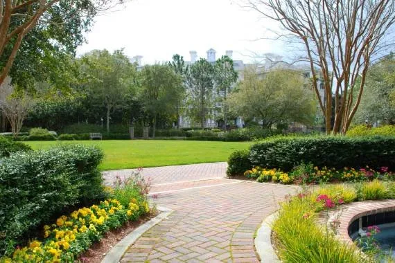 Custom landscape design for year-round maintenance across Lemon Grove, CA - Tipuana Enterprise