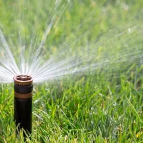 Top-rated outdoor landscaping for residential properties in Lemon Grove, CA by Tipuana Enterprise