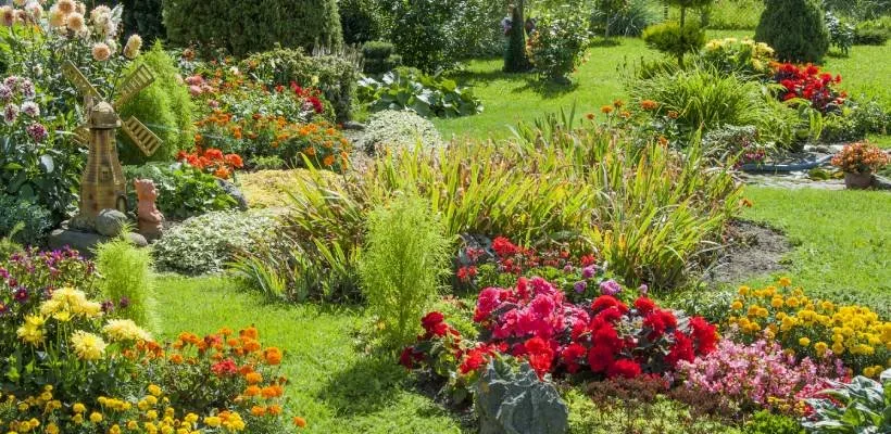 Custom garden landscaping in Lemon Grove, CA - Tipuana Enterprise