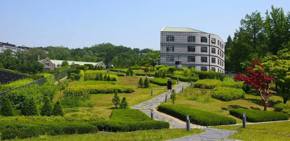 Reliable garden landscaping for year-round maintenance across Lemon Grove, CA - Tipuana Enterprise