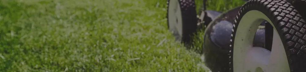 Trusted garden landscaping for year-round maintenance in Lemon Grove, CA by Tipuana Enterprise