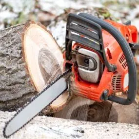 Local garden landscaping experts serving Lemon Grove, CA - Tipuana Enterprise