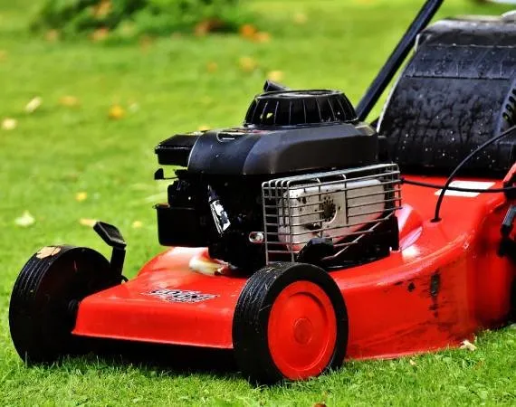 Expert yard maintenance experts serving Lemon Grove, CA - Tipuana Enterprise