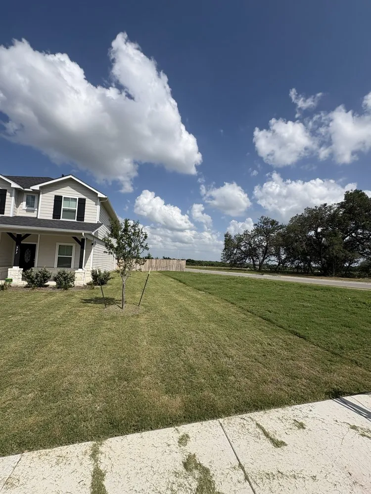 Affordable lawn care service for homes across Buda, TX - Tirado Landscaping