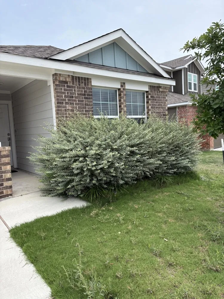 Expert landscape installation in Buda, TX by Tirado Landscaping